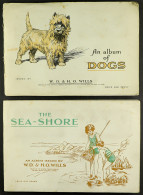 CIGARETTE CARDS BY WILLS In Albums. Includes Railway Engines, Life In The Royal Navy, Safety First, Radio Celebrities, R - Other & Unclassified