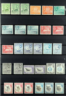 1953 - 1965 NEVER HINGED MINT COLLECTION Near- Complete Including Extra Perfs & Shades, A Complete Run For The Period (S - Aden (1854-1963)