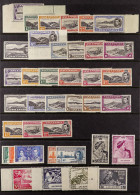 1937 - 1953 MINT / NEVER HINGED MINT Collection Of 38 Stamps On Protective Page, Note 1948-53 Perf 13? Set, Also Perf 13 - Ascensión