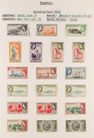 1953 - 2010 MINT COLLECTION In 2 Albums, Siubstantial & Semi-specialized With Changes Of  Papers & Watermarks, Some Occa - Barbades (...-1966)
