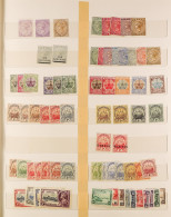 1865 - 1990's COLLECTION Of Around 700 Mint And Used Stamps On Stock Book Pages, Many Sets, Higher Values, Etc. - Bermuda