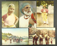 1920's - 1940's POSTCARDS Over 60+ Unused Card Depicting Native Scenes, Tea-picking, Elephants And Other Tea Related Ind - Ceylon (...-1947)