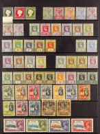 1886 - 1966 COLLECTION Of 130+ Mint / Later Never Hinged Mint Stamps On Protective Pages. - Gambia (...-1964)