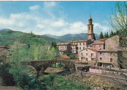 S. MARIA DEL TARO-PARMA-SCORCIO PITTORESCO CON IL PONTE DEI PRIORI- CARTOLINA VERA FOTOGRAFIA VIAGG. IL 1-6-1969 - Parma