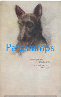 228935 ART ARTE SIGNED MAUD WEST WATSON THE DOG ABERDEEN TERRIER POSTAL POSTCARD - Other & Unclassified