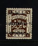 1922 1m Sepia, Wmk Script CA With OVERPRINT DOUBLE, SG 71c, Mint Lightly Hinged With Slight Gum Discolouration. BPA Cert - Palestine