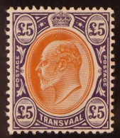 TRANSVAAL 1903 ?5 Orange-brown And Violet, SG 259, Mint Very Lightly Hinged. Cat ?2250. - Unclassified