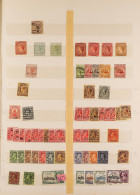 1881 - 1983 STAMPS Mint / Never Hinged Mint & Used Assortment On Stock Book Pages, All Sorts Here Incl 1881 '?' On 1s Li - Turks & Caicos