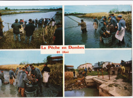 La Pêche En Dombes - Ohne Zuordnung