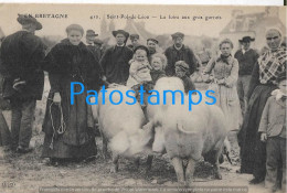 228936 FRANCE BRETAGNE SAINT POL DE LEON THE GROS GORRETS FAIR & PIG POSTAL POSTCARD - Sonstige & Ohne Zuordnung