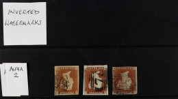 1841 1d RED INVERTED WATERMARKS. 1841 1d Red-brown Imperfs, Each With Inverted Watermark - The 3 Basic Types - 'DB' With - Autres & Non Classés