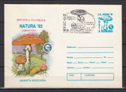 Enveloppe 1993 - NATURA '93  - CHAMPIGNONS - MUSHROOMS - Cachet Illustre - Mushrooms