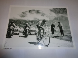 4 Foto's ( 35 Cm X 25 Cm ) Jacques Anquetil, Eddy Merckx, Louison Bobet, Greg Lemond - Cycling