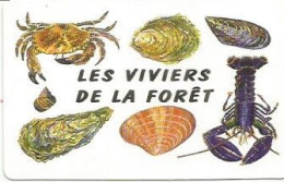 Carte De Visite Les VIVIERS De La FORET  29 LA FORET FOUESNANT  Coquillage Shell - Visitekaartjes