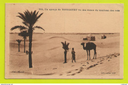 Algérie N°383 Un Aperçu De TOUGGOURT Vu Des Dunes Du Tombeau Des Rois Collection Arracil VOIR DOS - Otros & Sin Clasificación