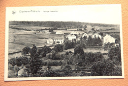 OIGNIES-en-THIERACHE -  Paysage Champêtre - Viroinval