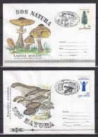 2 Enveloppes 1995 - JOURNEE MONDIALE De L'ENVIRONNEMENT  - CHAMPIGNONS - Cachets Illustrees - Champignons