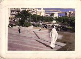 Alger Rue Berthezène Et Boulevard Laferrière, écrite En 1959 - Algerien