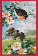 AE873 FANTAISIES OISEAUX ROUGE -GORGE PRINTEMPS FLEURS ILLUSTRATEUR C KLEIN NON SIGNEE UVACHROM N°4297 - Uccelli