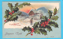 AA570 FANTAISIES CARTE GAUFREE FLEURS HOUX PAYSAGE JOYEUX NOEL - - Autres & Non Classés