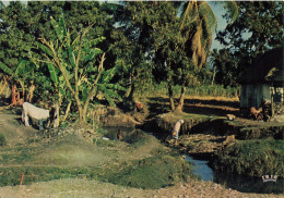 ANTILLES - Haiti - Leogane - Animé - Vue Générale  - Vaches - Carte Postale - Haiti