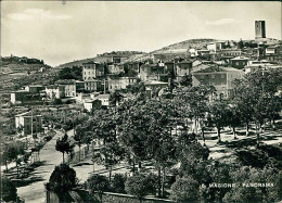 MAGIONE ( PERUGIA ) PANORAMA - EDIZIONE ANGELI - SPEDITA 1951 (20582) - Perugia