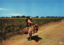 ANTILLES - Haïti - Retour Du Marché - Coming Back From Market - Animé - âne - Carte Postale - Haiti