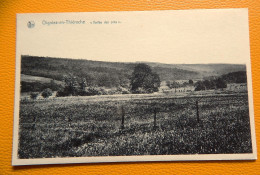 OIGNIES-en-THIERACHE -   " Vallée Des Prés " - Viroinval