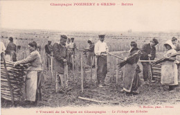 DEP51.......TRAVAIL DE LA VIGNE EN CHAMPAGNE ...FICHAGE DES ECHALAS - Andere & Zonder Classificatie