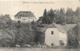 BELMONT Le Château Et Plan Du Pont - Non Classés