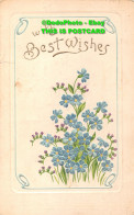R420657 With Best Wishes. Blue Flowers. Pictorial Stationery. Peacock. 1907 - World