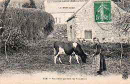 4V4Sb   Bretagne Paysanne Pauvresse Gardant Les Troupeaux De Vaches (pas Courante) - Campesinos