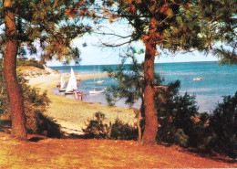 17 - Charente Maritime -  ILE  De RE - Les Portes - Plage De Trousse Chemise - Ile De Ré