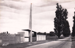 33 - Gironde -  SAINT SAVIN  De BLAYE - Le Stade Municipal - Sonstige & Ohne Zuordnung