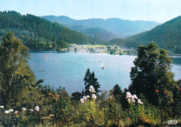 88 - Vosges -  GERARDMER - Le Lac Vers Ramberchamps - Gerardmer