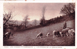 88 - Vosges - Les Brebis De Grand Mere - Moutons Au Paturage - Altri & Non Classificati