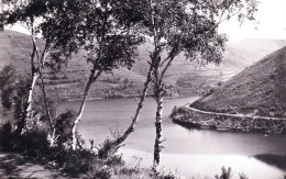 12 - Aveyron -  SAINTE GENEVIEVE Sur ARGENCE - Lac De Sarrans - Autres & Non Classés