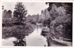 79 - Deux Sevres - Le Marais Poitevin - LE VANNEAU - IRLEAU - Une Conche - Carte Glacée - Autres & Non Classés