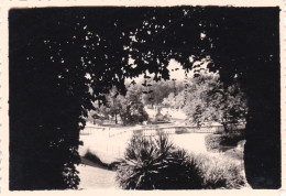 PHOTO 8.5 X 6.0 - NIMES ( 30 ) Jardin De La Fontaine -  Aout 1952 - Places