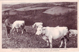 89 - Yonne  -  Panorama De La Vallée Du VAREILLES - Terrain Des Fouilles De Glozel - Otros & Sin Clasificación