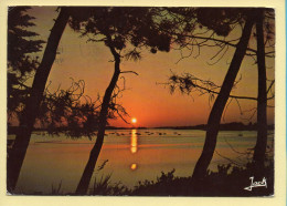 Coucher De Soleil : Derniers Reflets Sur La Côte Bretonne / Couleurs De Bretagne (voir Scan Recto/verso) - Hold To Light