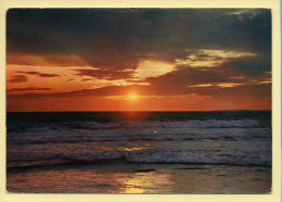 Coucher De Soleil : Bord De Mer / Citation Au Dos (voir Scan Recto/verso) - Hold To Light