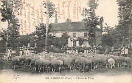 Asnières * L'école Des Filles * Moutons Agriculture - Other & Unclassified