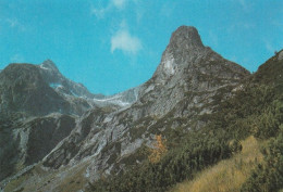 1 AK Slowakei * Der Berg Čierny štít (deutsch „Schwarze Spitze“) Ein Mit 2434 M Hoher Berg In Der Hohen Tatra * - Slovakia