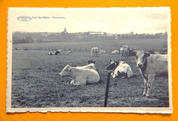 CUL-des-SARTS   -  Panorama - Cul-des-Sarts