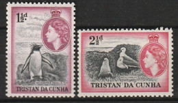 Tristan Da Cunha 1954, Postfris MNH, Birds - Tristan Da Cunha