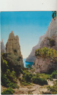 Nos Belles Calanques En VAU  13  Carte Circulée - Autres & Non Classés