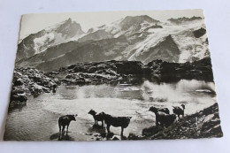 La Grave - Plateau D'en-paris, Le Lac Lérié, La Meije, Le Rateau Et Le Glacier Du Mont De Lans - Altri & Non Classificati