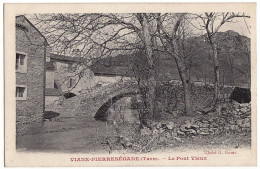 81 - B16521CPA - VIANE PIERRESEGADE - Le Pont Vieux - Parfait état - TARN - Autres & Non Classés