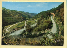 Auvergne : Les Lacets à Voissière De La Route Touristique De Saint-Nectaire Murols Et Chambon-sur-Lac - Auvergne